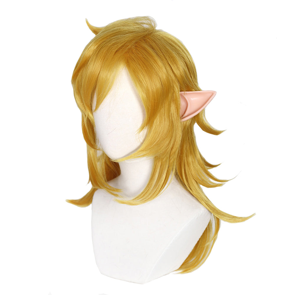 Game The Legend of Zelda Link Cosplay Wig