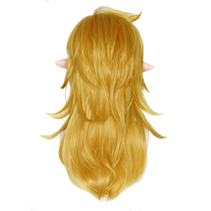 Game The Legend of Zelda Link Cosplay Wig