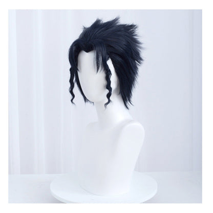 Anime JoJo's Bizarre Adventure Jotaro Black Cosplay Wig