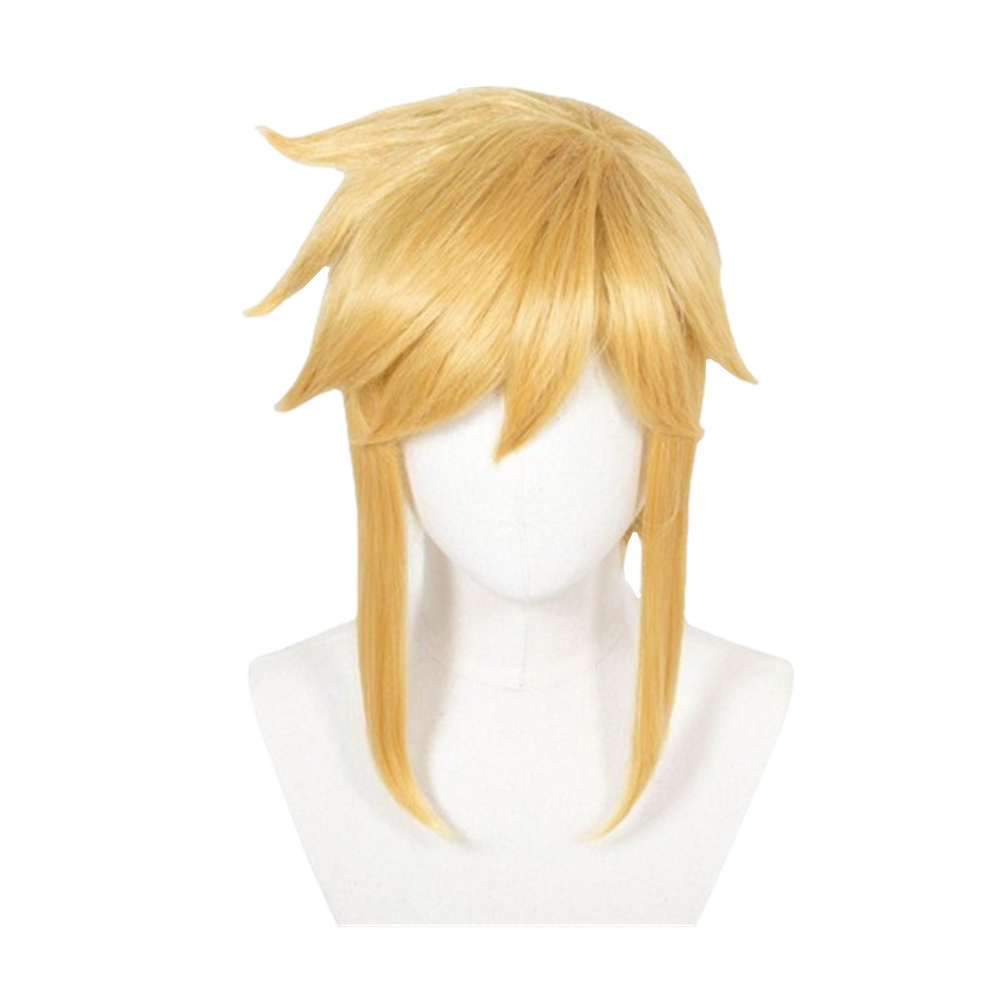 Game The Legend of Zelda: Link's Awakening Link Cosplay Wig